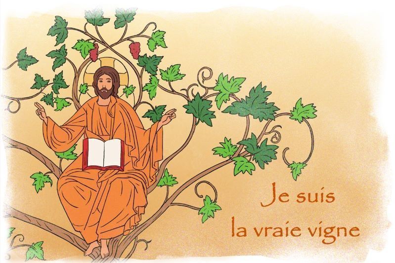 Jésus Vraie Vigne